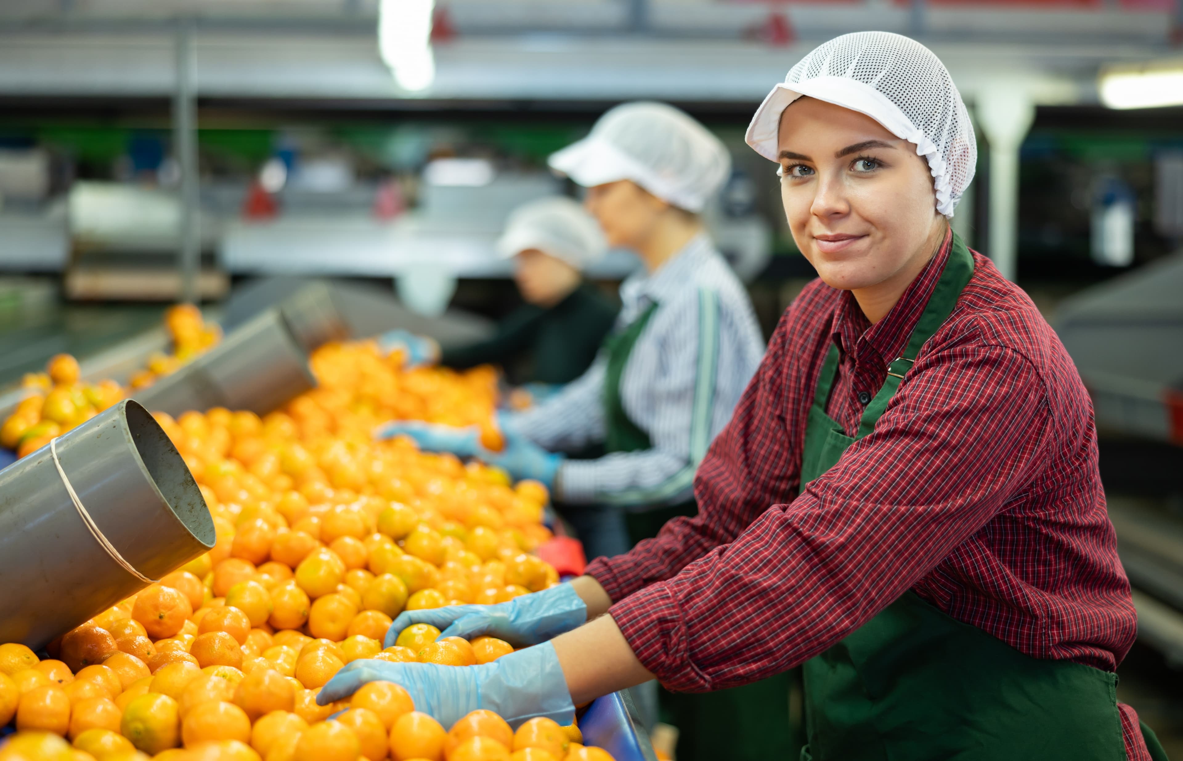 ISO 22000 Food Safety Management System certification